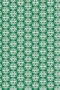 SKYRIANAKI HAT (Round Green Print)